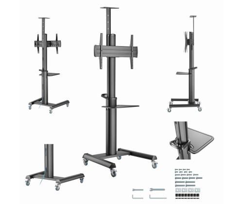 TV SET ACC FLOOR STAND 37-70"/TVS-70T-02 GEMBIRD