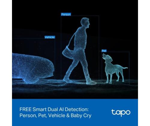 WRL CAMERA PAN/TILT/DUAL TAPO C245D TP-LINK