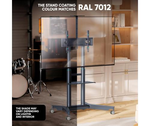 TV SET ACC MOBILE STAND/32-75"/GRAPHITE TS1571-G ONKRON