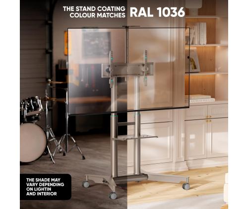 TV SET ACC MOBILE STAND/32-75"/CHAMPAGNE TS1571-C ONKRON