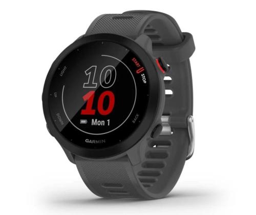 SMARTWATCH FORERUNNER 55/GREY 010-02562-13 GARMIN