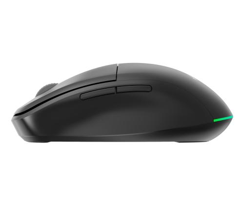 MOUSE USB OPTICAL WRL/MUSW2-6B-01 GEMBIRD