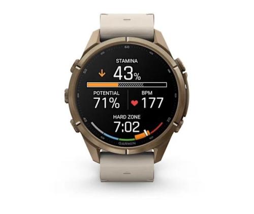 SMARTWATCH FENIX 9 PRO/AUT. GOLD 010-04335-21 GARMIN