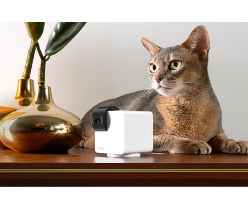 WRL CAMERA CAM 360/P36010US PETCUBE