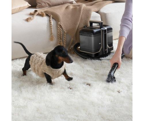 Vacuum Cleaner DREAME N10 450 Watts Weight 4.3 kg N10