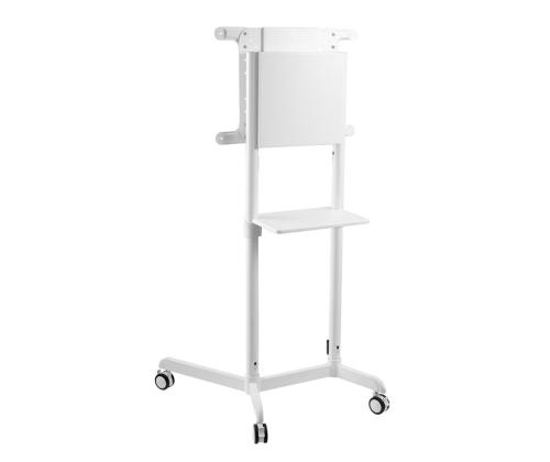 TV SET ACC FLOOR STAND/37-70" NS-M1250WHITE NEOMOUNTS