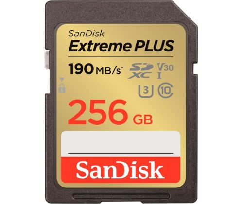 MEMORY SDXC 256GB UHS-1/SDSDXWV-256G-GNCIN SANDISK