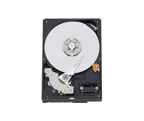 HDD WESTERN DIGITAL Blue 1TB SATA 3.0 64 MB 7200 rpm 3,5" WD10EZEX