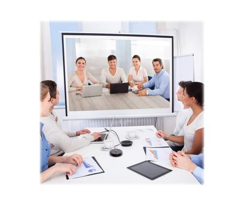 TECHLY Omnidirectional USB Conf. Mic