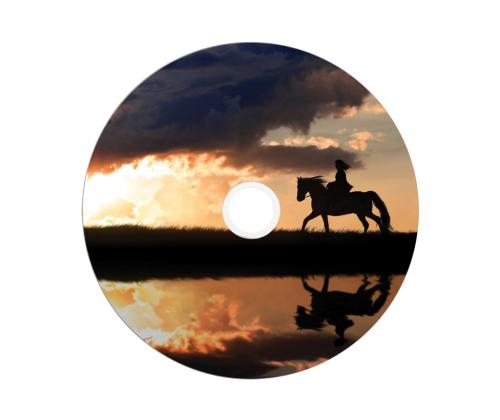 VERBATIM 25xDVD+R DL 8,5 GB 8x SP