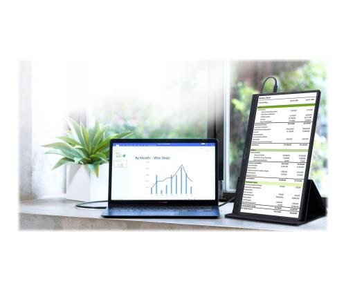 ASUS ZenScreen MB166C 15.6inch IPS FHD