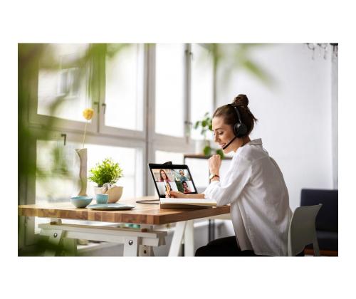 JABRA Evolve2 50 USB C/A MS Stereo