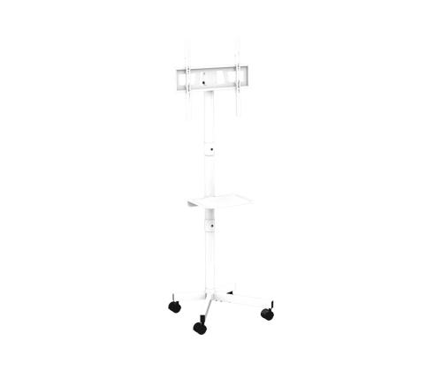 GEMBIRD TV floor stand w caster wheels