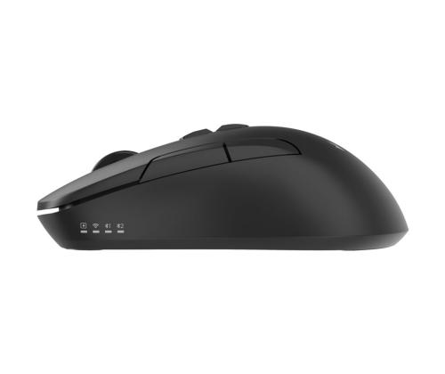 GEMBIRD Dual-mode 7-button wireless mous