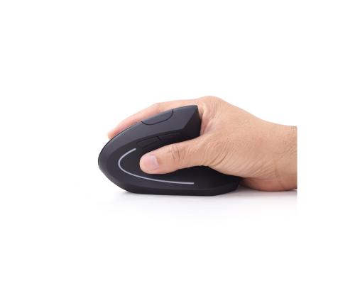GEMBIRD MUSW-ERGO-01 Ergonomic mouse