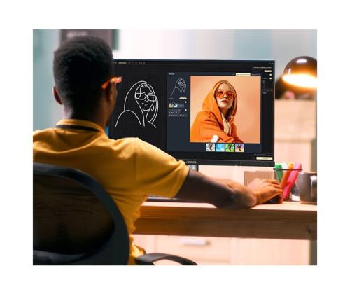 ASUS PA248QFV 24.1inch IPS Monitor