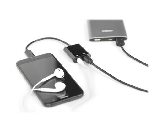 ASSMANN USB Type-C splitter cable 0.2m