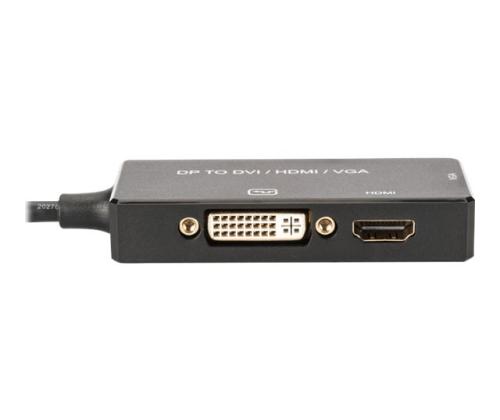 ASSMANN DisplayPort 1in3 converter cable