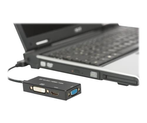 ASSMANN DisplayPort 1in3 converter cable