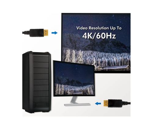 LOGILINK CV0074 LOGILINK - DisplayPort 1