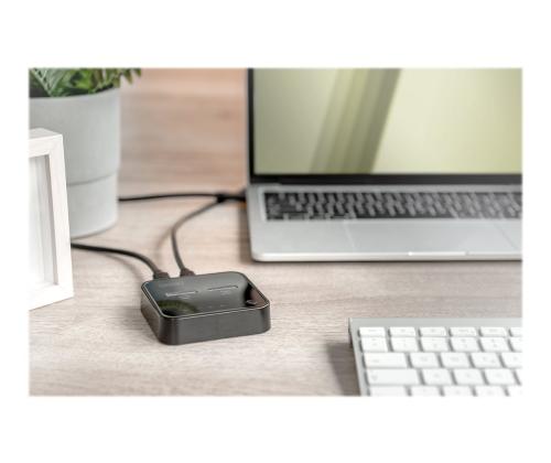 DIGITUS NVMe Clone station USB3.1 Gen2