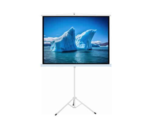 ART HAND-HAND SCREEN ON A TRIPOD 110inch