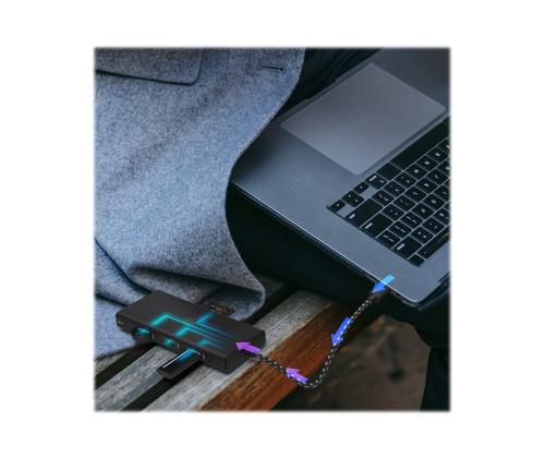 ICY BOX IB-DK4011-CPD Docking Station