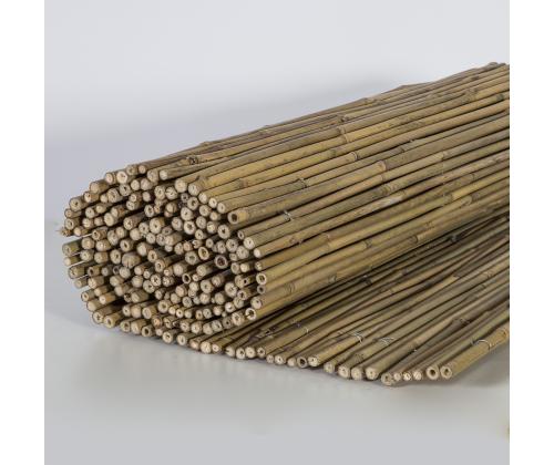 Rull bambusaed IN GARDEN, 1x3m, naturaalne bambus D14/16mm, ühendustraat läbi bambuse