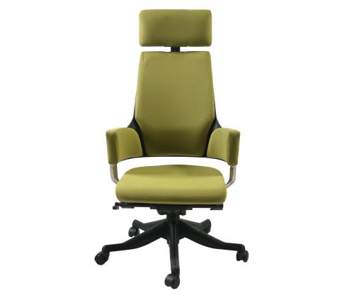 Töötool DELPHI oliiviroheline