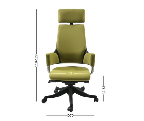 Töötool DELPHI oliiviroheline