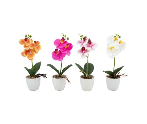 Orhidee GREENLAND H30cm valge pott, mix