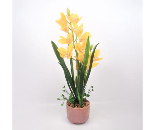 Orhidee GARDEN QUEEN H70cm, kollane