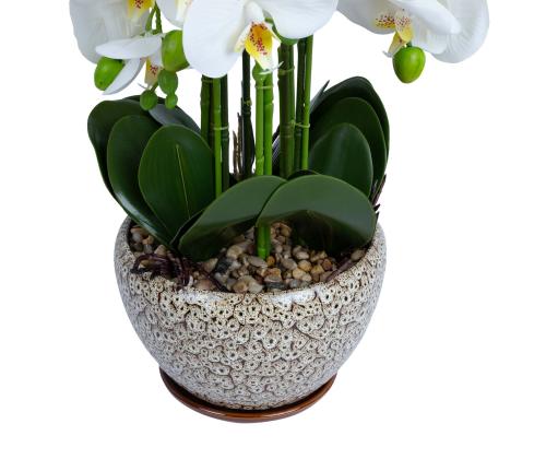 Orhidee GREENLAND H72cm hall pott, valge õis