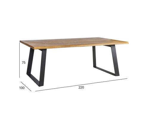Söögilaud ROTTERDAM 220x100xH75cm, tamm