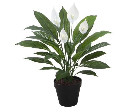 Kunsttaim SPATHE, H60cm, valge tõlvlehik, must pott