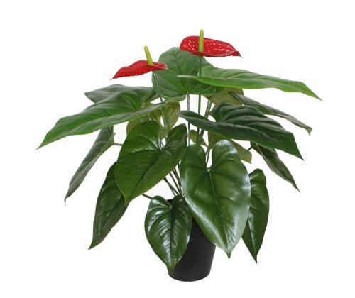 Kunsttaim ANTHURIUM, H45cm, flamingolill, must pott