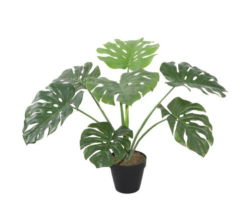 Kunsttaim MONSTERA, H60cm, must pott