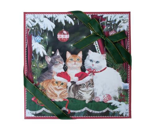 Korrusvaagen MIA CATS 2-ne kinkekarbis