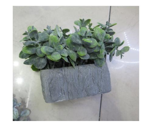 Kunsttaim GREENLAND potis, hall kivi