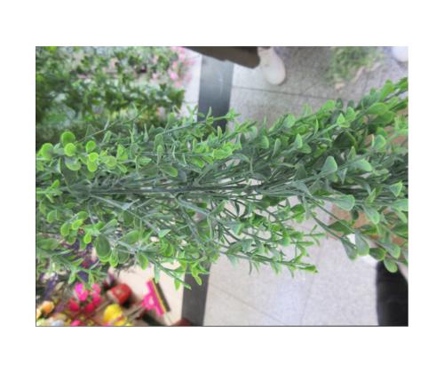 Vanik GREENLAND 180cm, tihe eukalüpt