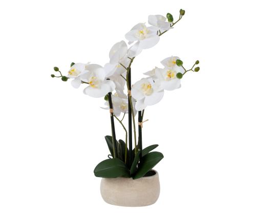 Valge orhidee 4 oksaga IN GARDEN, H55cm, hall pott