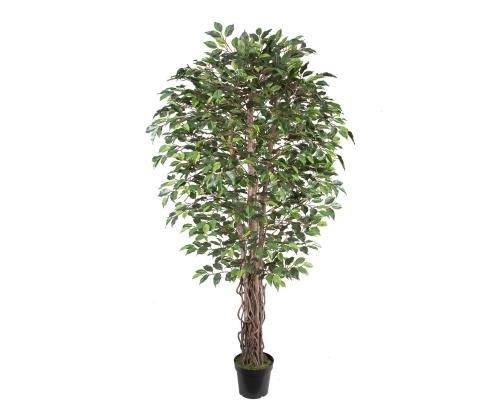 Kunstpuu WIND FICUS H210cm