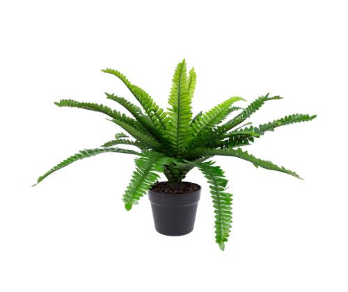 Kunsttaim BOSTON FERN, H60cm, sõnajalg, must pott