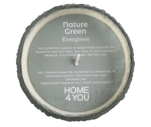 Lõhnaküünal klaasis NATURE GREEN H13cm, Evergreen