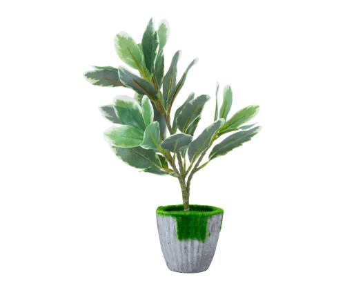 Kunsttaim GREENLAND H27cm, valge servaga leht