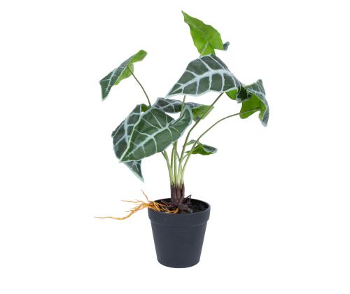 Kunsttaim GREENLAND H40cm, "Alocasia"