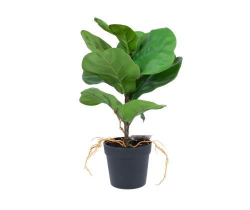 Kunsttaim GREENLAND H35cm, "Clusia rosea"