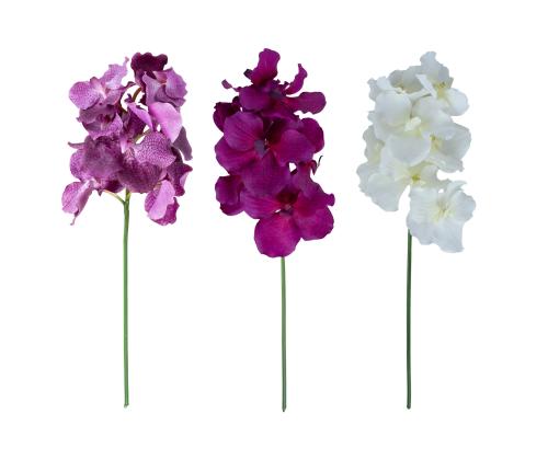 Orhidee FLOWERLY H60cm, mix