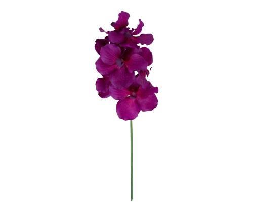Orhidee FLOWERLY H60cm, mix