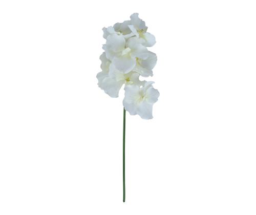 Orhidee FLOWERLY H60cm, mix